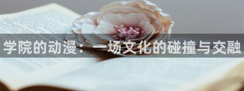 动漫岛官网：学院的动漫：一场文化的碰撞与交融