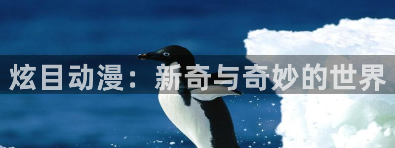 动漫岛网址：炫目动漫：新奇与奇妙的世界
