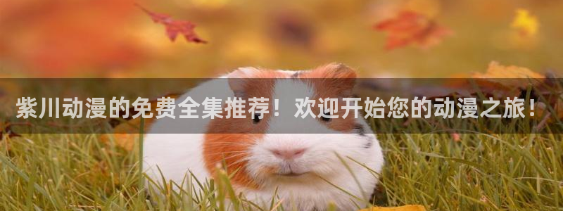 动漫岛最新版：紫川动漫的免费全集推荐！欢迎开始您的动漫之旅！